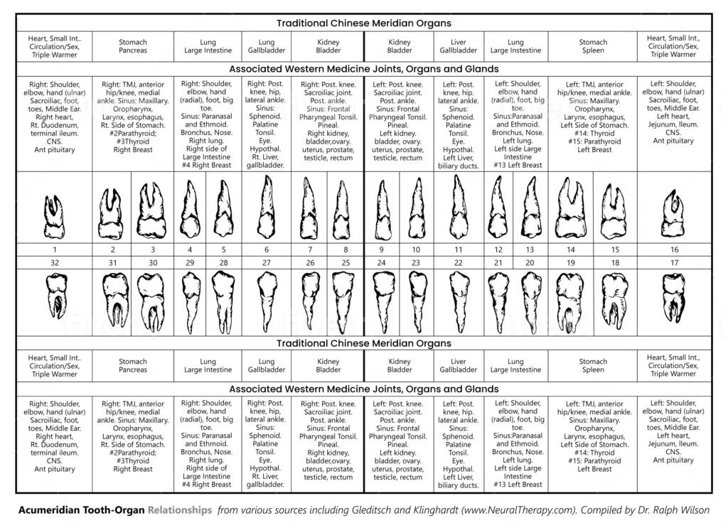 Dental Chart